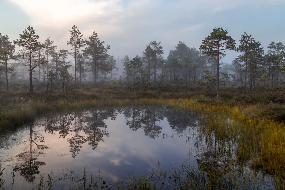 Photograph by Татьяна Кормашова