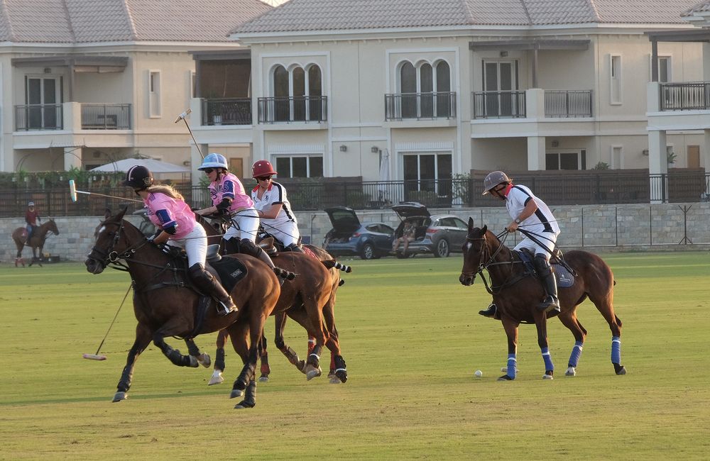 Фотография автора Наталья Липовская