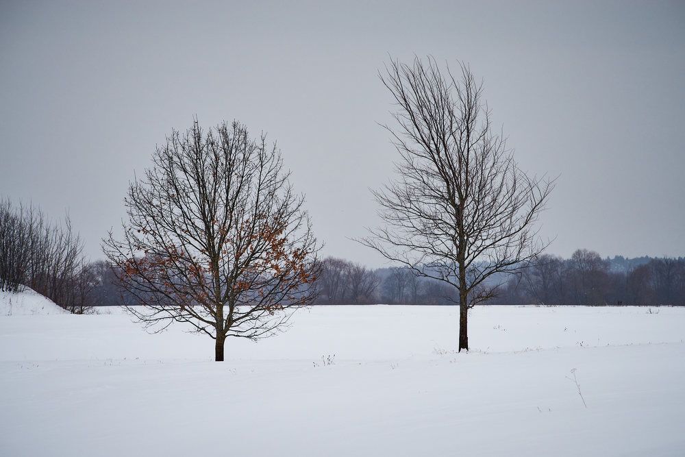 Photograph by Дмитрий Солодухин