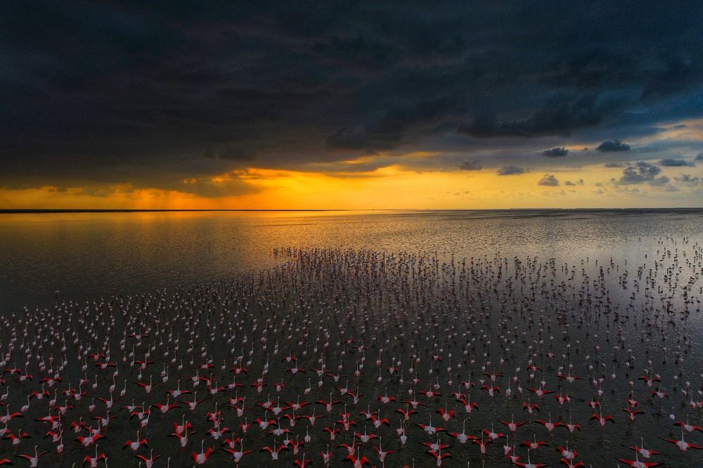 Photograph by mehdi mohebi pour