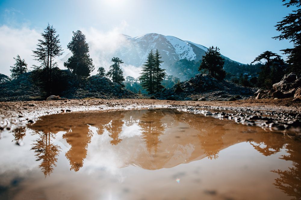 Photograph by Павел Мацепуро