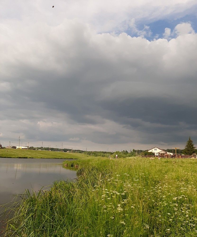 Photograph by Елена Горева