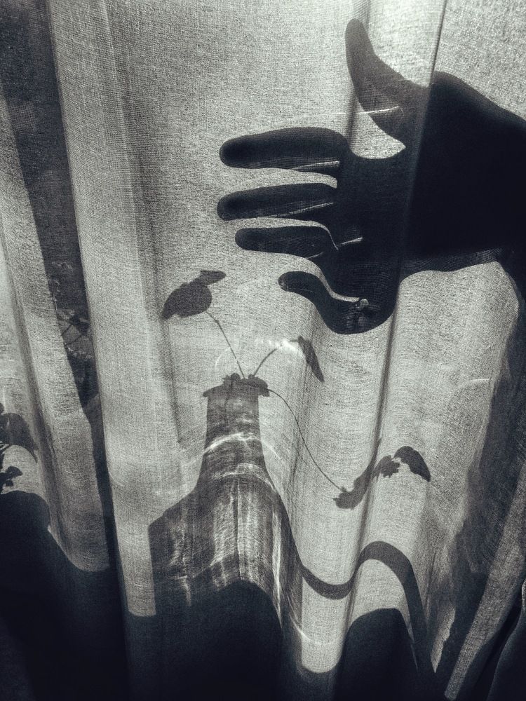 Photograph by Inna Sknara