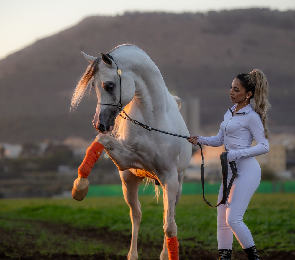 Фотография автора Mohammed sajd Abo ganem