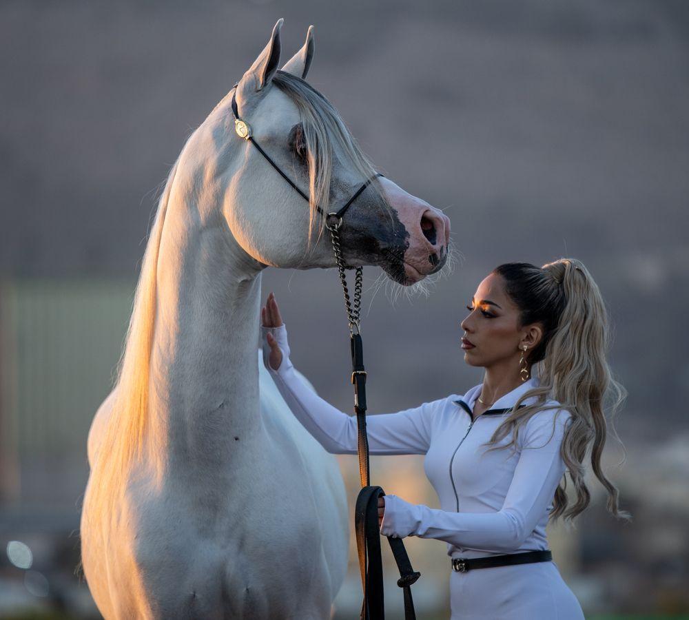 Фотография автора Mohammed sajd Abo ganem