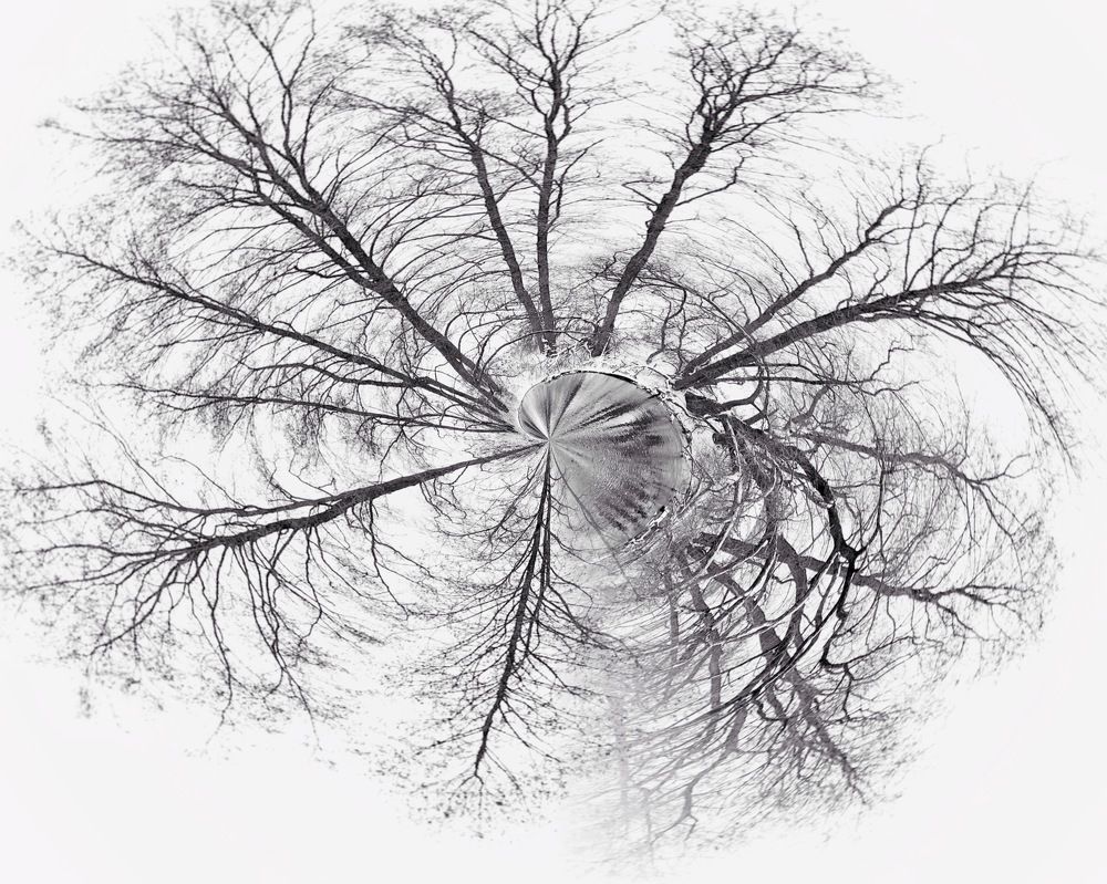 Photograph by Надежда Смирнова