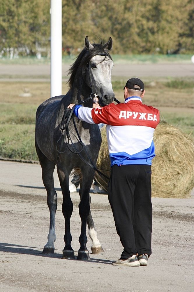 Photograph by Михаил Некрасов