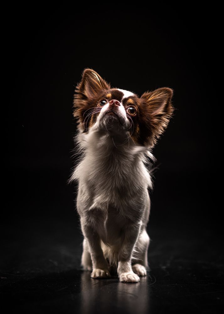 Photograph by Sergey Rygin