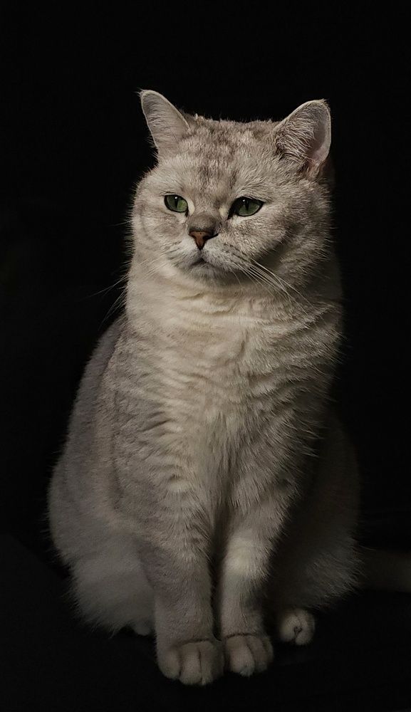 Photograph by Ольга Чернова