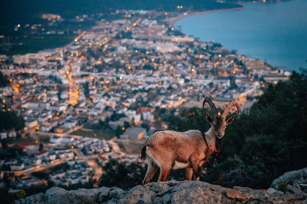 Photograph by Павел Мацепуро