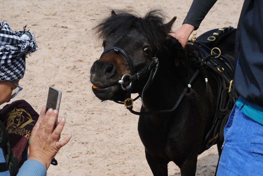 Photograph by Анна Архангельская