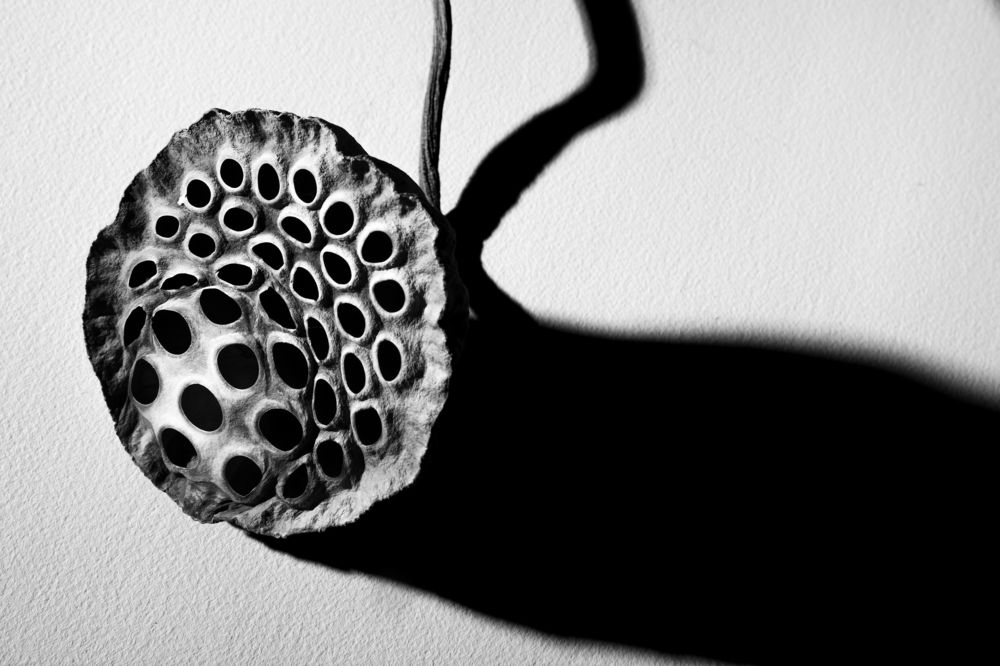 Photograph by Стоянова-Тимбукту Мария