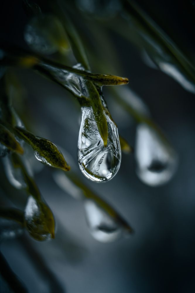 Photograph by Анна Осинцева