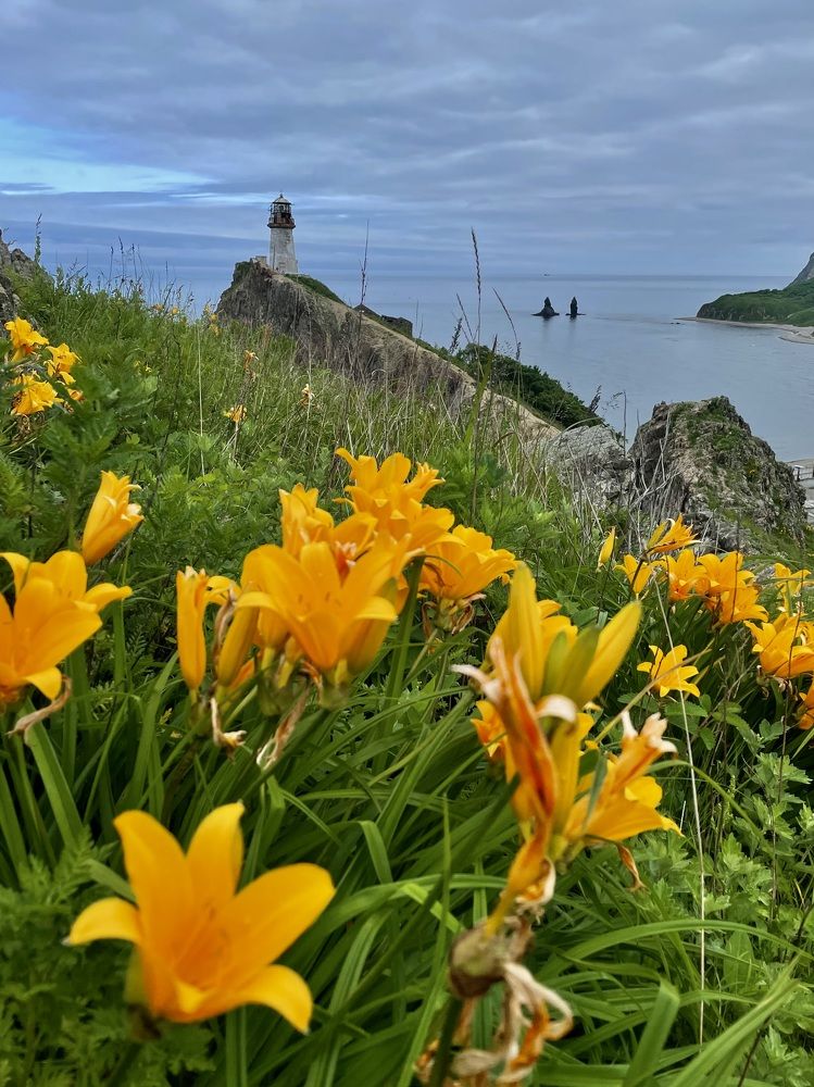 Фотография автора Юлия Недосекина