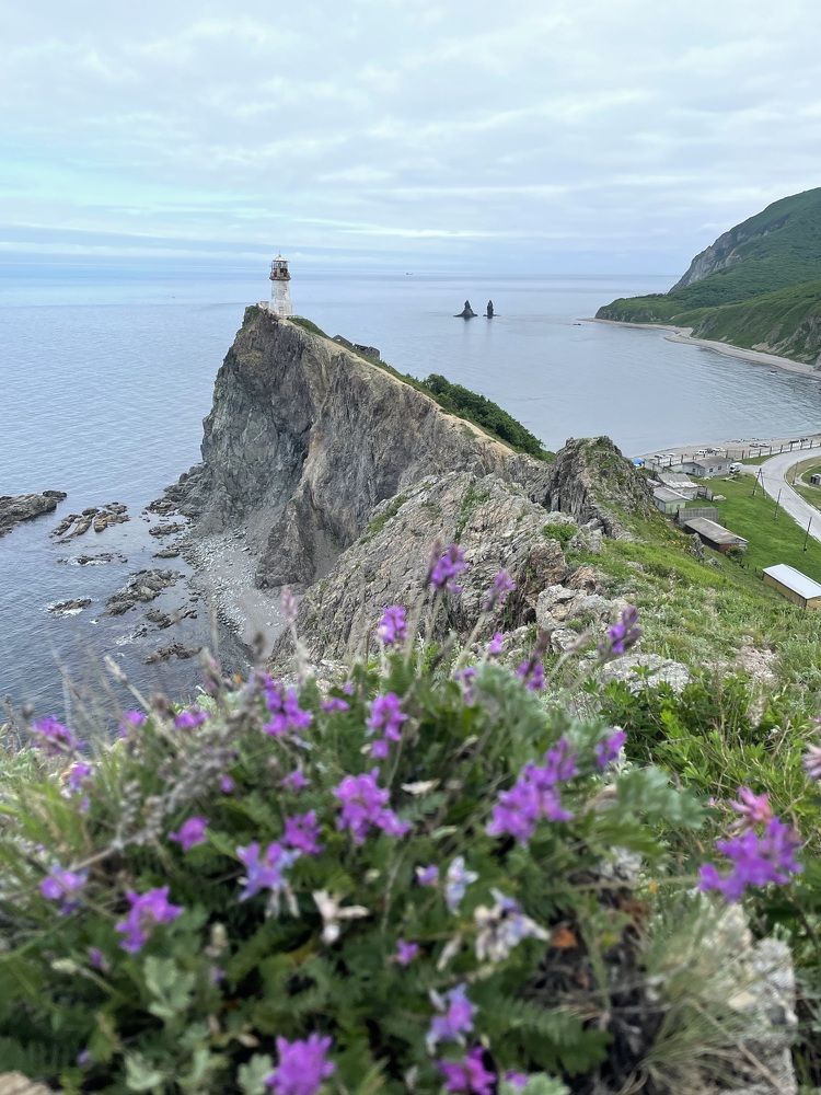 Фотография автора Юлия Недосекина
