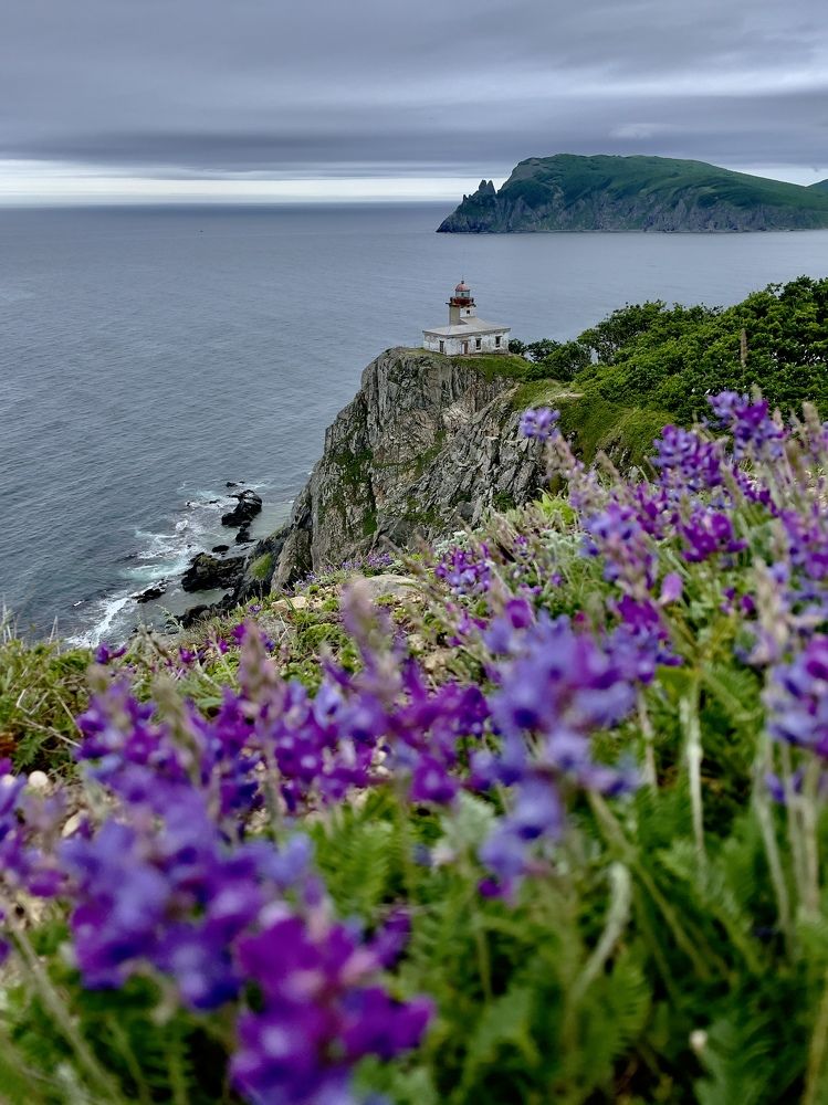 Фотография автора Юлия Недосекина