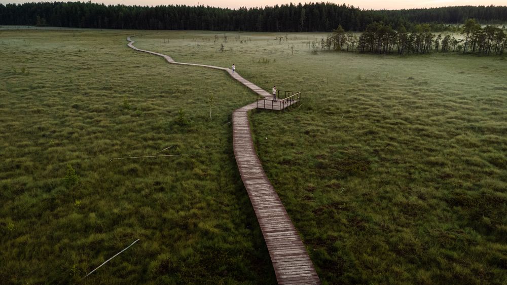 Photograph by Roman Vislobokov