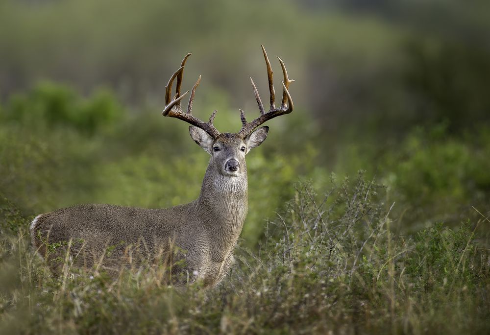 Photograph by Jeff Birmingham