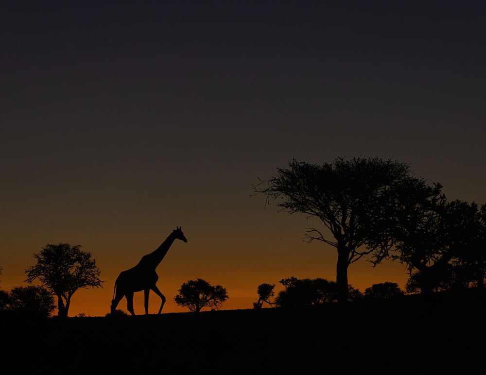 Photograph by Jeff Birmingham