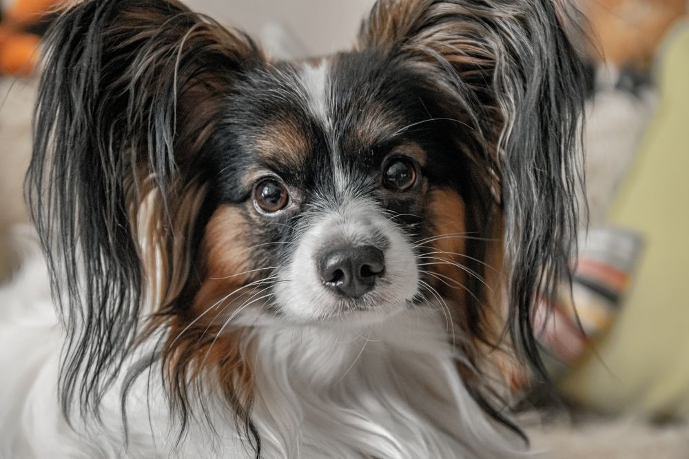 Photograph by Антон Гаврилов