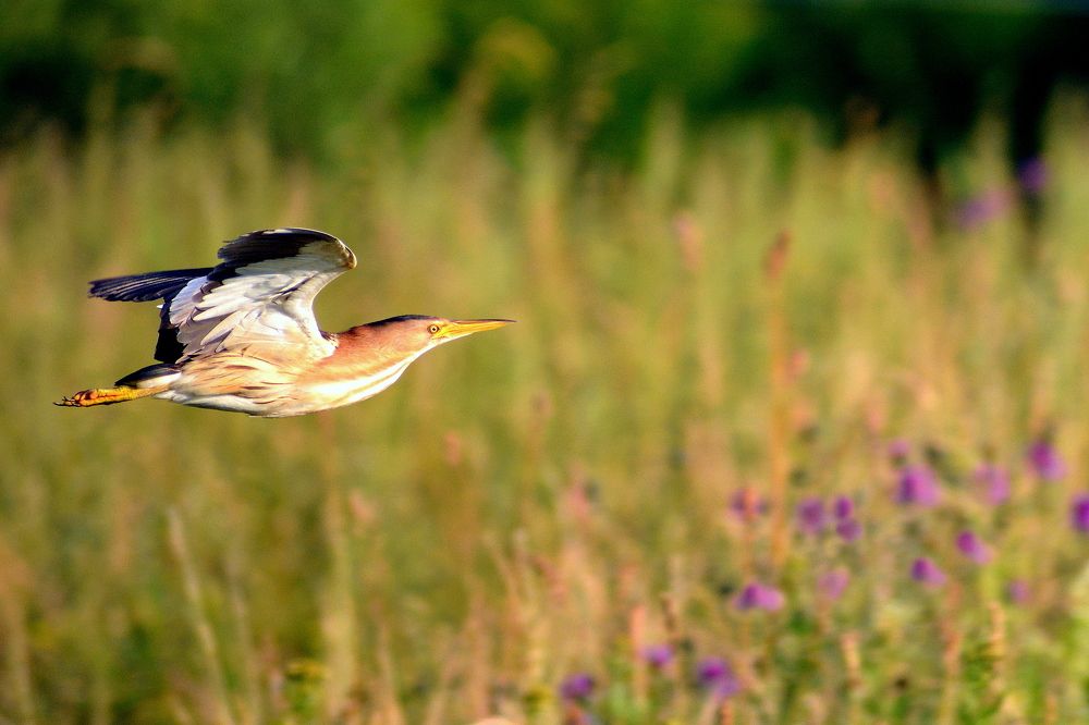 Photograph by Владислав Иопек