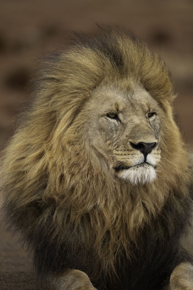 Photograph by Jeff Birmingham