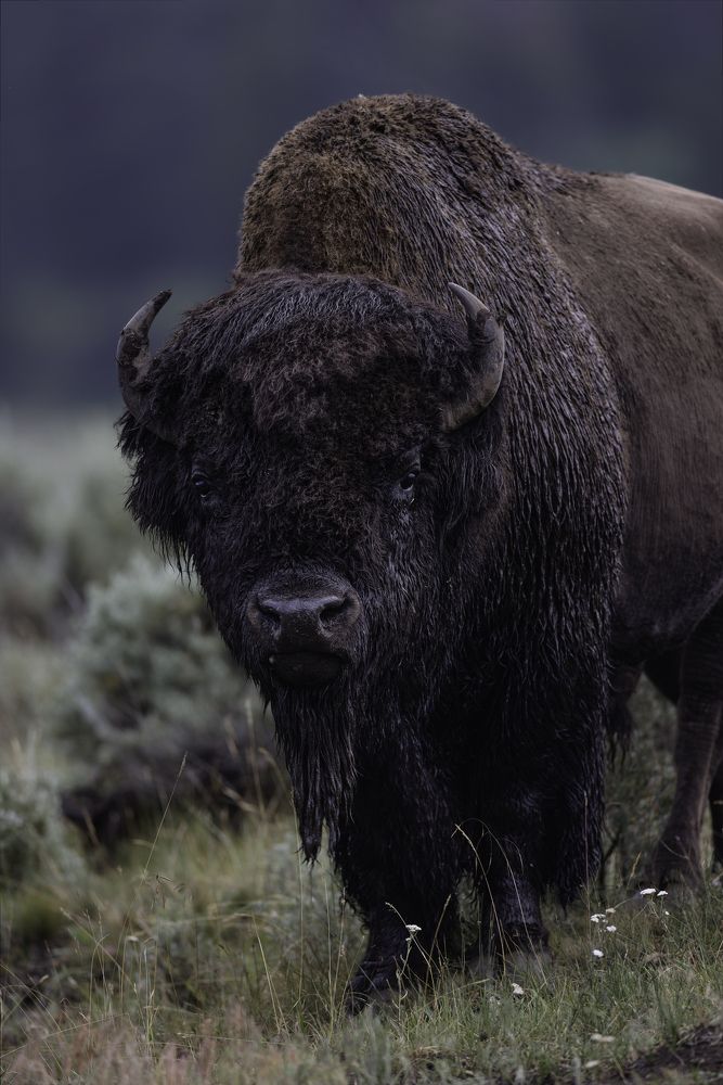 Photograph by Jeff Birmingham