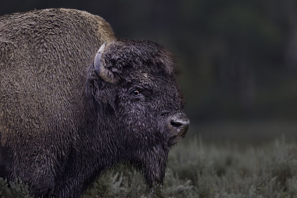 Photograph by Jeff Birmingham