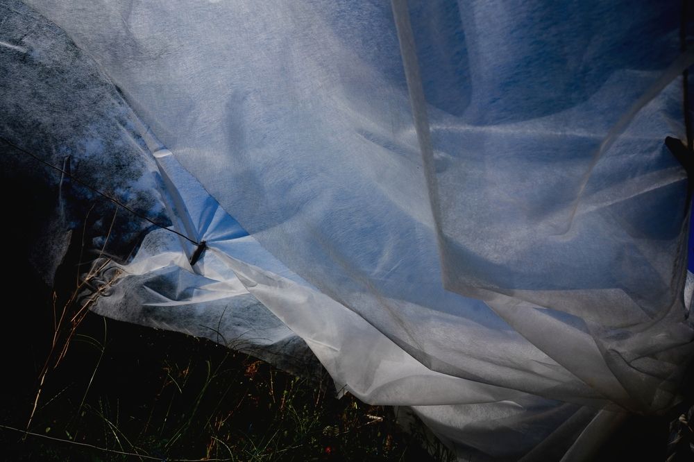 Photograph by Пиленгас Александр