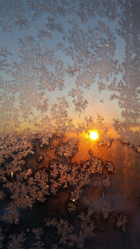 Photo #9989093