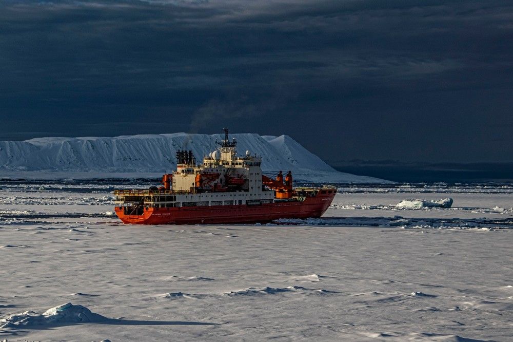 Photograph by Алексей Логинов