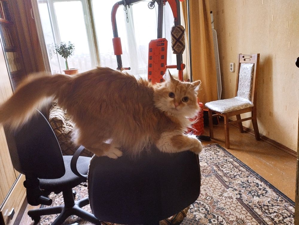 Photograph by Надежда Болтунова