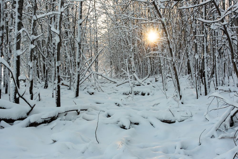 Photograph by Альварис Сукманюк