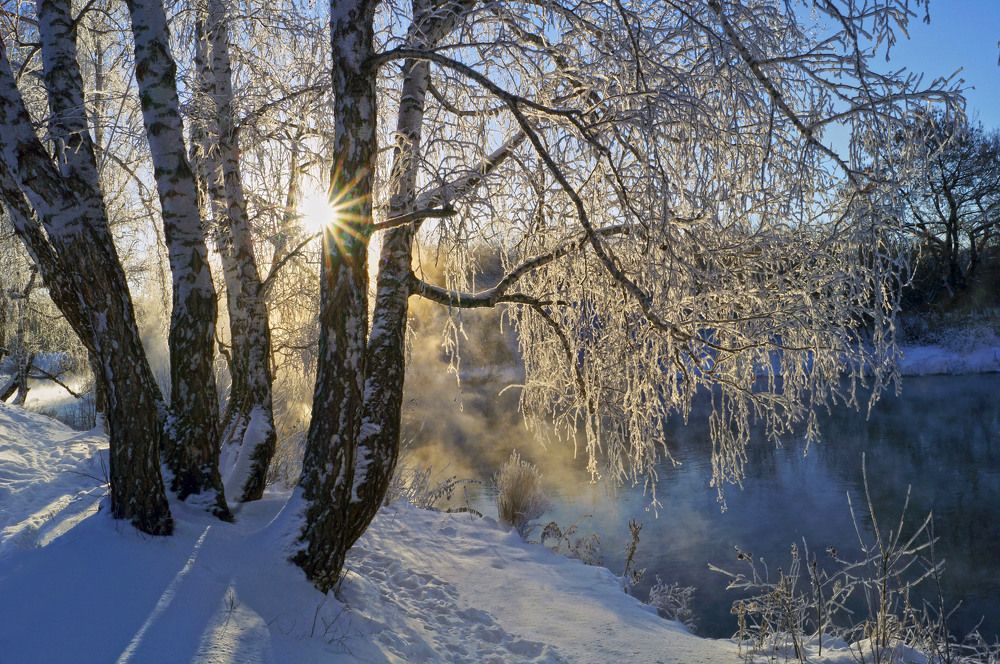 Photograph by Мишустина Татьяна