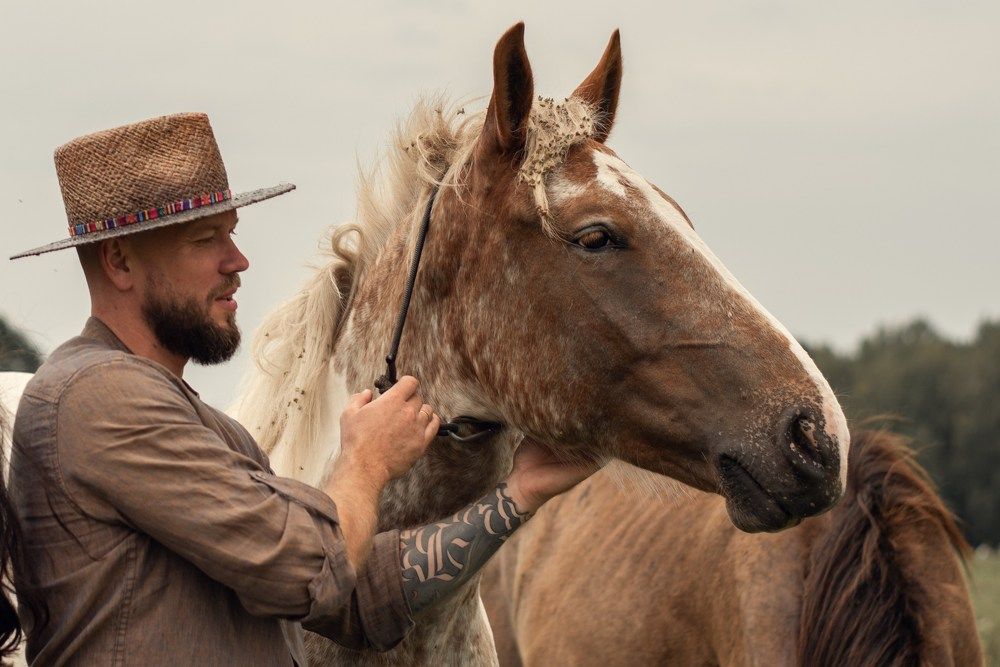 Фотография автора Екатерина Шаманаева