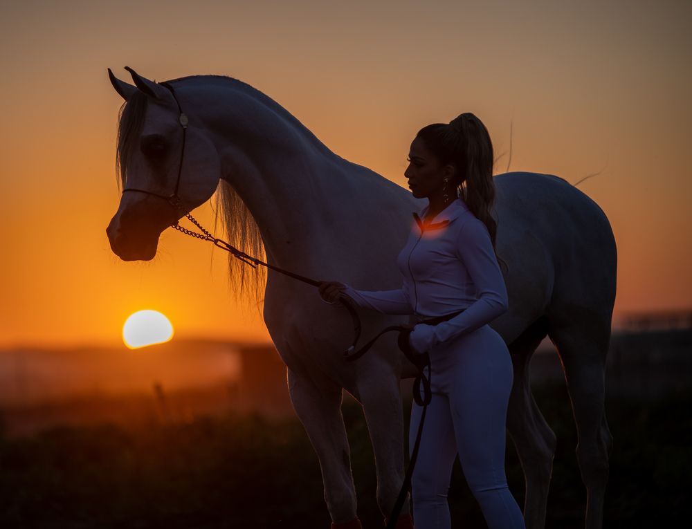 Фотография автора Mohammed sajd Abo ganem