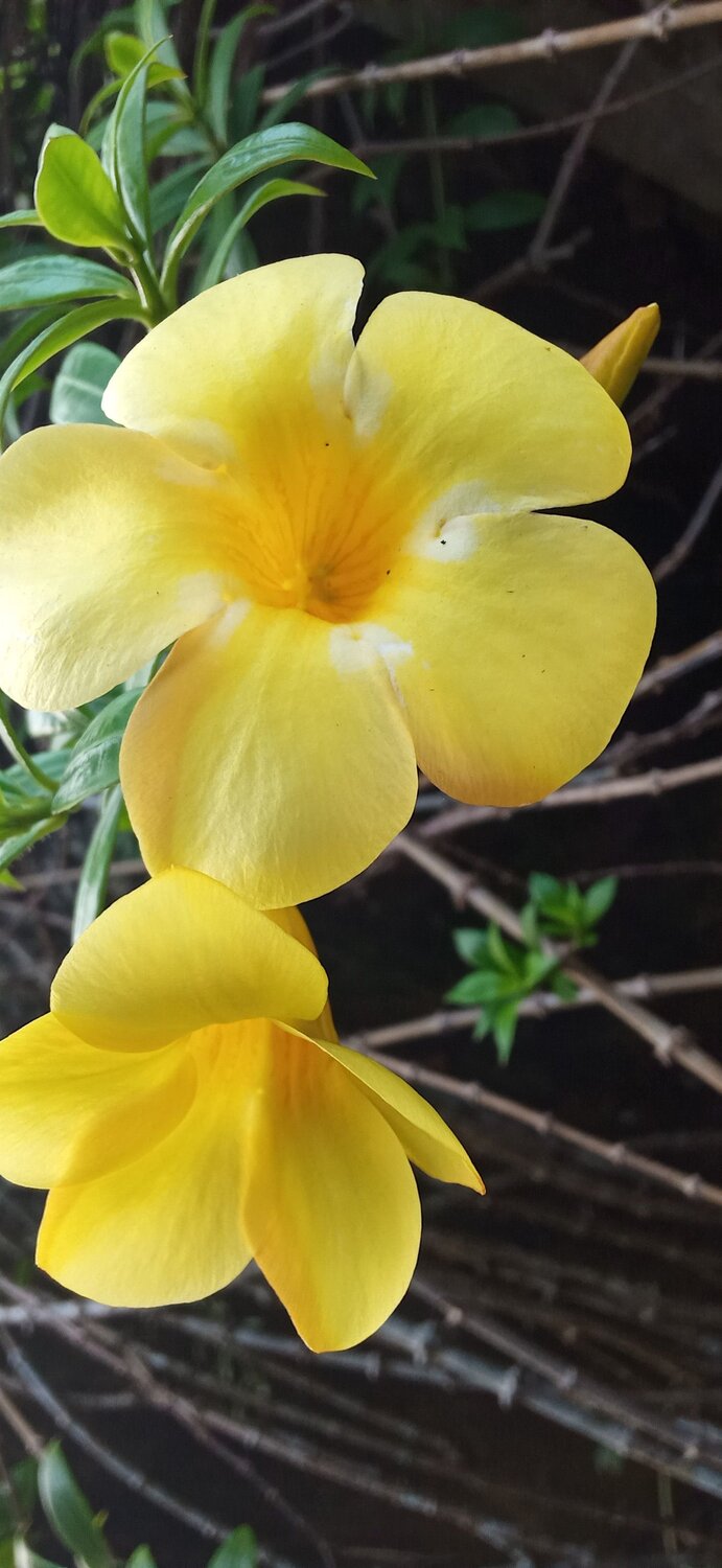 Photo #9989257