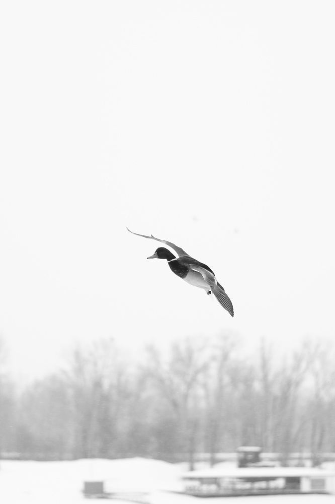 Photograph by Наталья