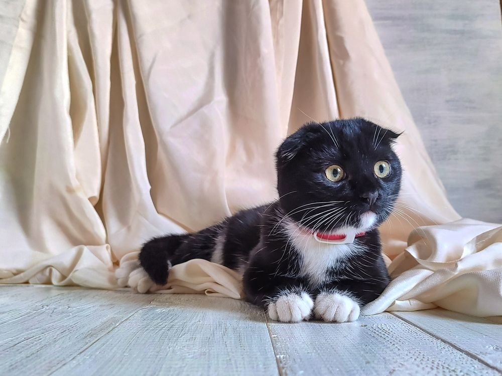 Photograph by Рина Хуртова