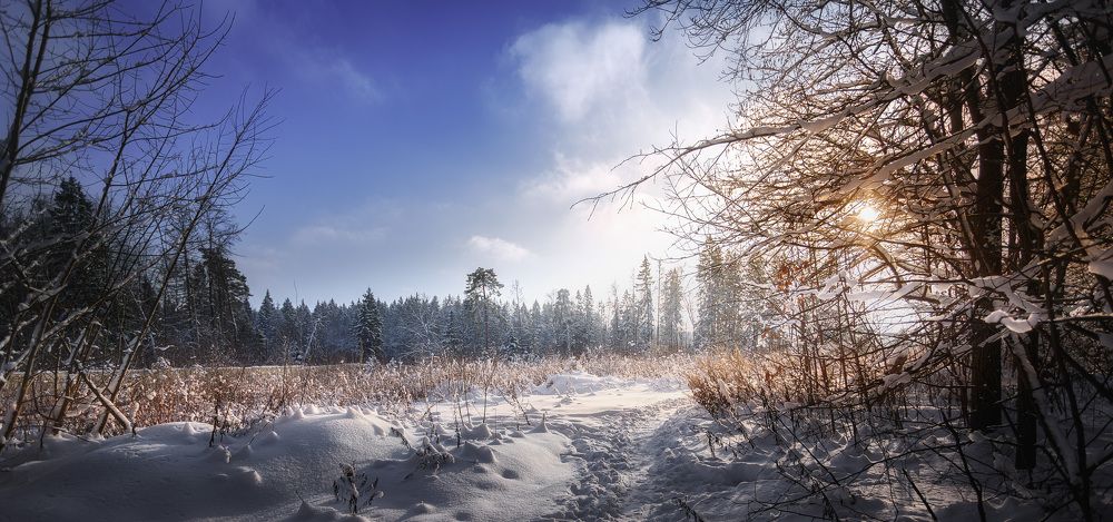 Зимнее утро...