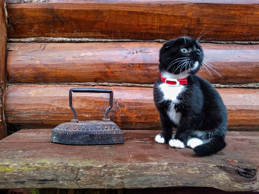 Photograph by Рина Хуртова