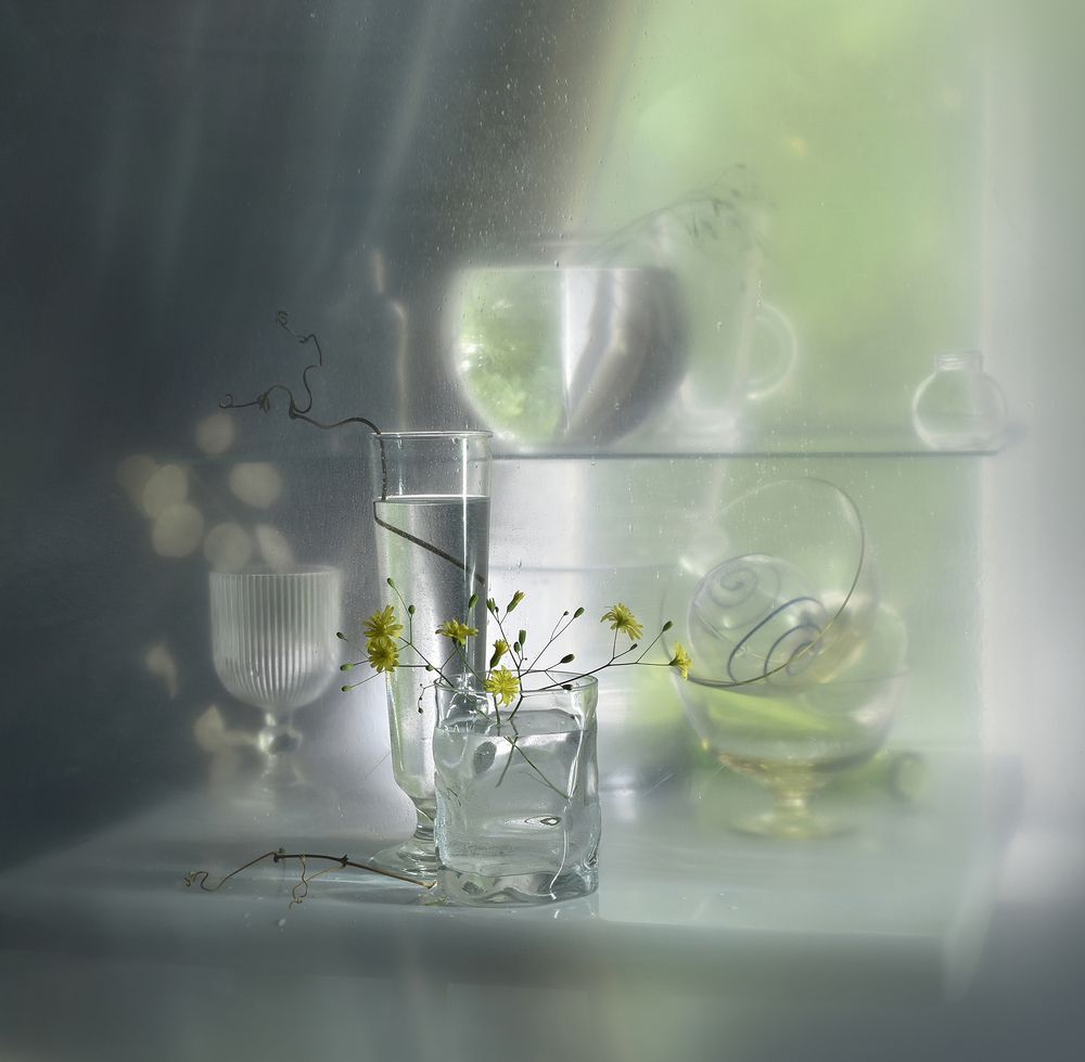 Фотография автора Ирина Шипунова