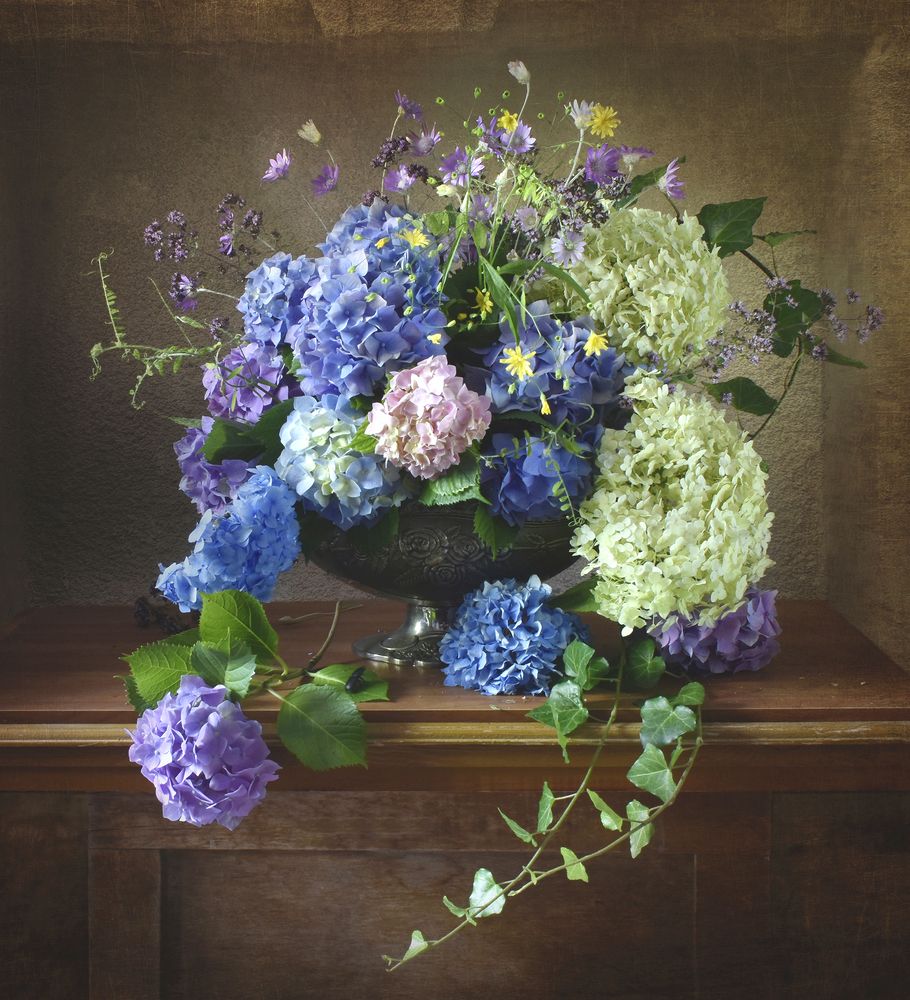 Фотография автора Ирина Шипунова