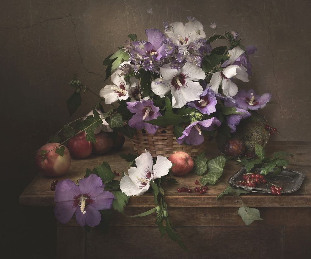 Фотография автора Ирина Шипунова