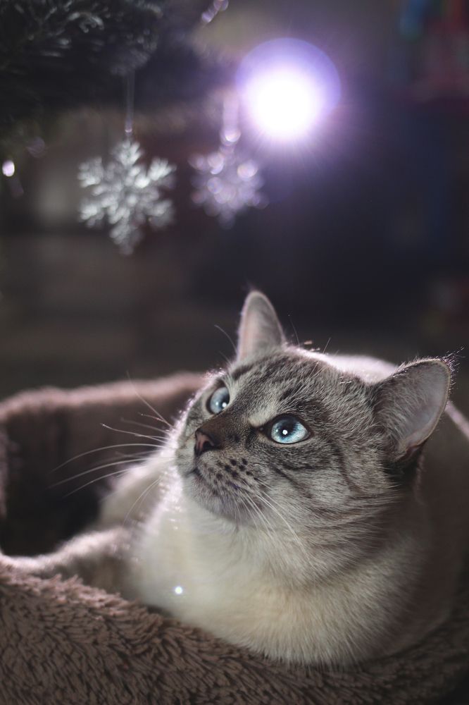 Photograph by надежда максимова