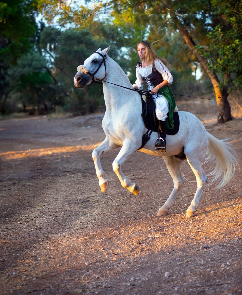 Фотография автора Alex Lerner