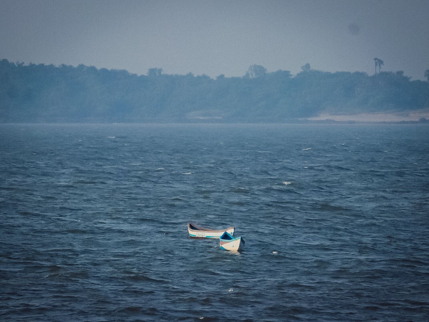 Photo #9989562