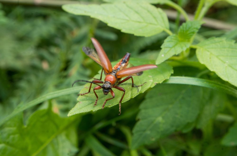 Photograph by Эрик Турман