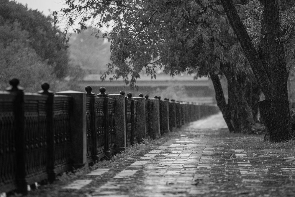 Photograph by Владимир Охрименко