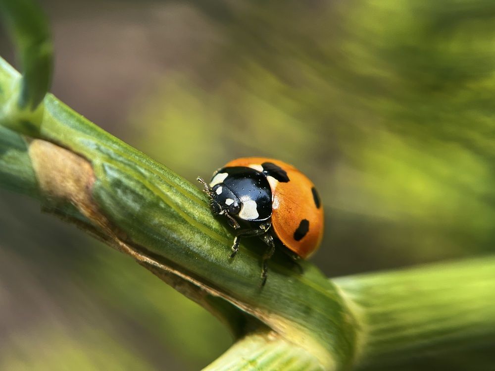 Photograph by Yulia Zhilinskaya